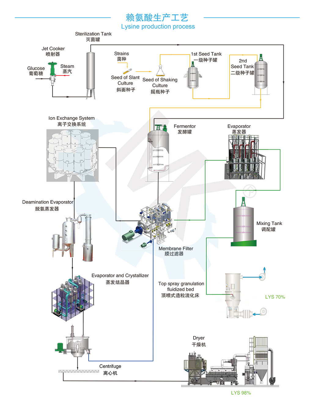 98.5% L-Lysine process description